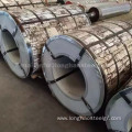 Zinc Coated PPGI Steel Coil